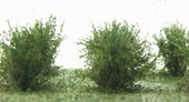 Nízké keře - mikro listí - zelená dubová