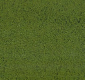 Purex - střední - zelená kapradina