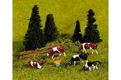 Krávy na pastvě N